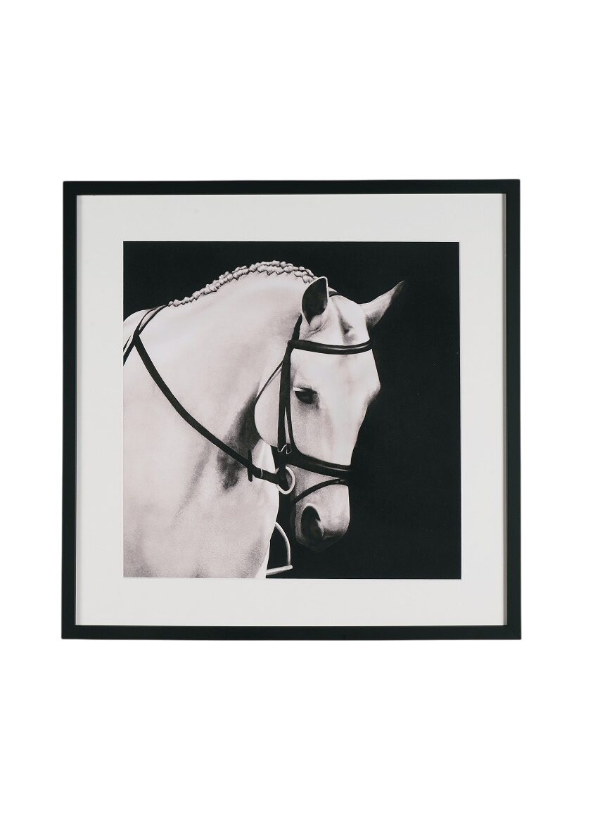 アートピクチャー（馬） 【LV005】 - ロンドン エクスプローラーズ