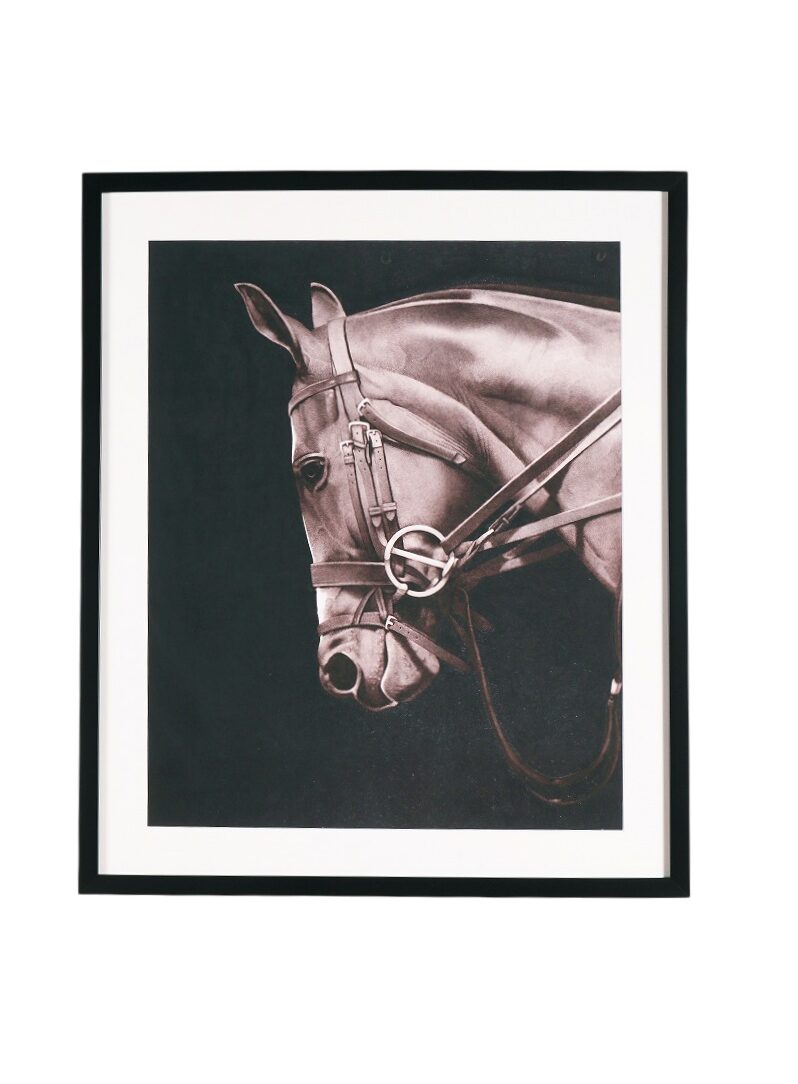 London Explorers Collection ロンドン エクスプローラーズ コレクション アートピクチャ(馬) 【LV008】