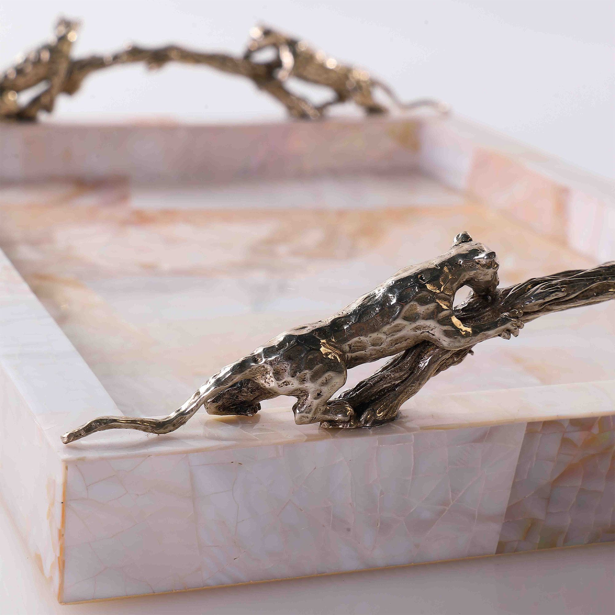 カビビ貝 おしゃれなトレイ